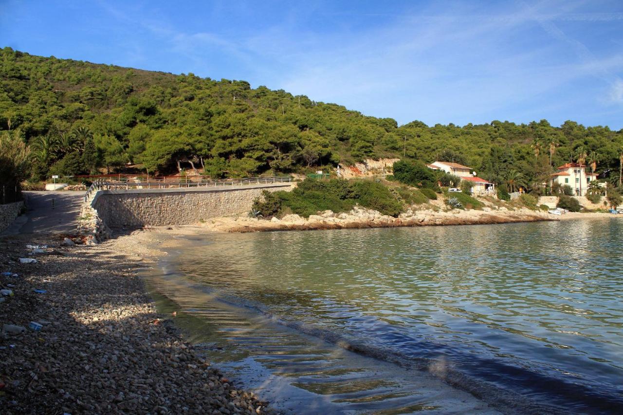 Apartments By The Sea Milna, Vis - 8944 Exterior photo